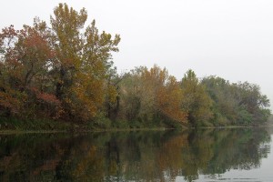 Landscape of trees turning color reflected in the river.