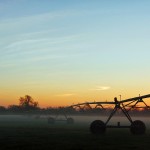 Photo of crop sprayers silhouetted by the sunrise.